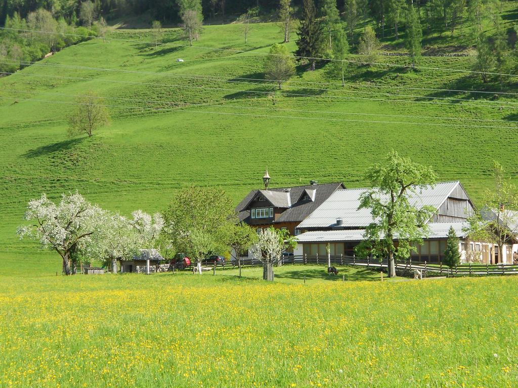 Weitgasserhof Schladming Εξωτερικό φωτογραφία